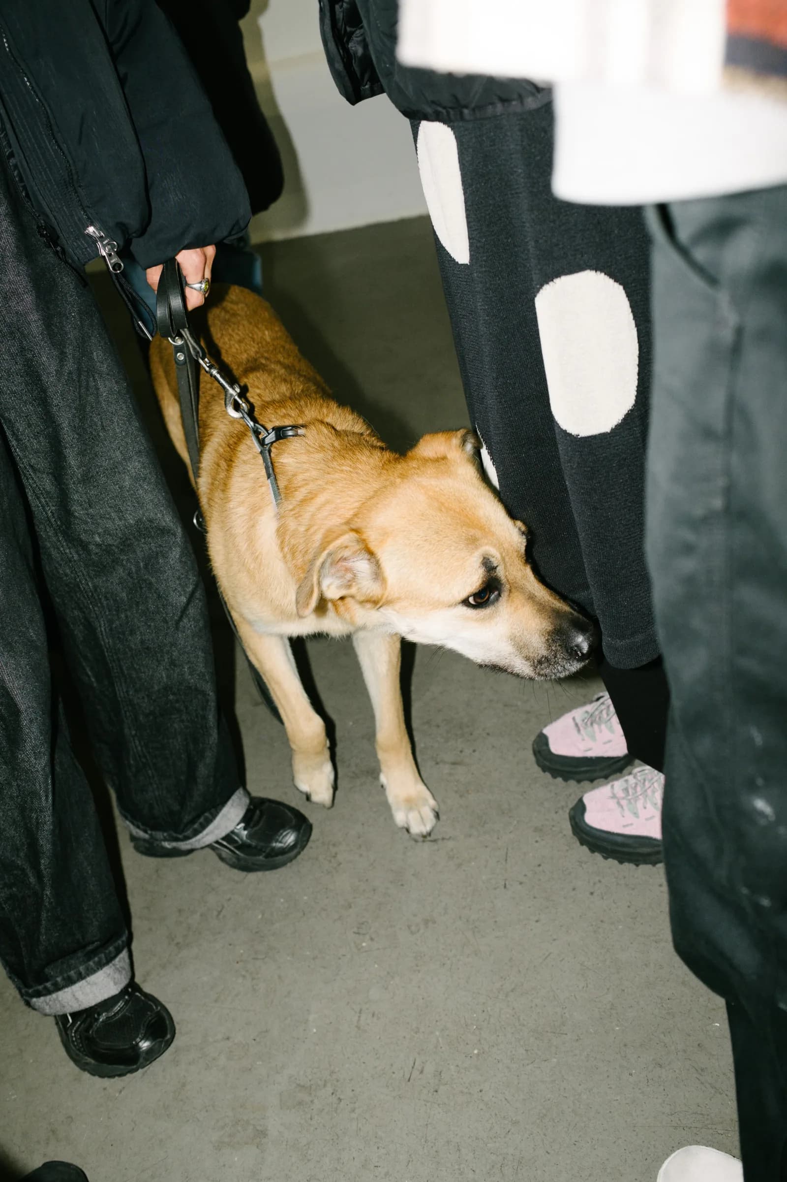 ONO popup münchen — gespräche